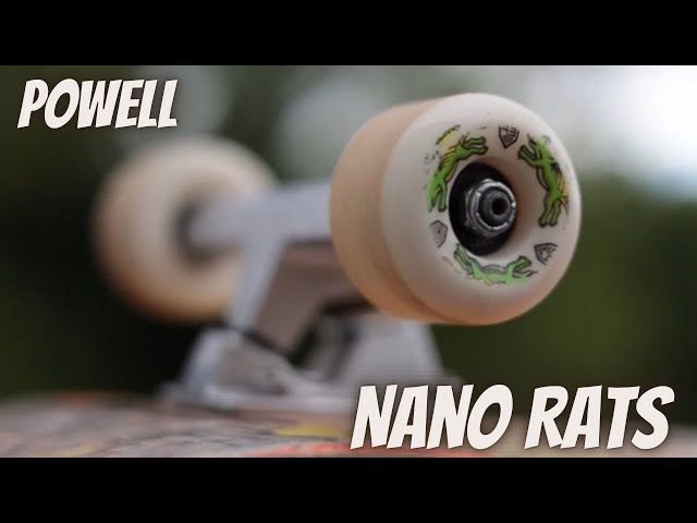 スケートボード POWELL PERALTA DRAGON NANO RAT WHEEL 88A Powell Peralta Dragon Formula Nano Rats Skateboard Wheels