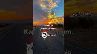 Kim Demiş Sevmeyi Bilmiyorum Diye - Şiir Lekesi