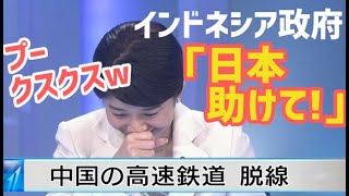 【海外の反応】【衝撃！】日本を裏切ったインドネシア高速鉄道の現在がとんでもない!!親日国なのに中国の技術を選んだ末路…【グレートJAPANちゃんねる】