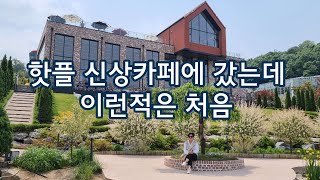 핫플 신상카페에 갔는데 이런적은 처음 / 용인 자작나무숲 & 베툴라 카페 / 커피 & 베이커리 카페 / 대형 카페 / 애견동반 카페