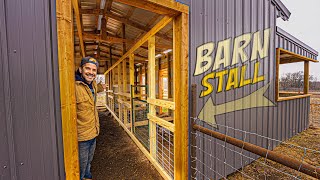 DIY Barn Stall Build  Livestock's NEW HOME! Ranch // Homestead // Farm
