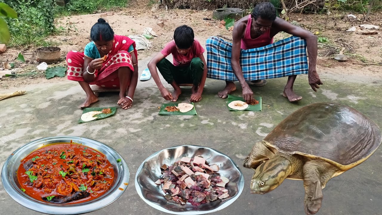 tasty TURTLE MEAT masala curry recipe cooking and eating village tribal family || tortoise recipe