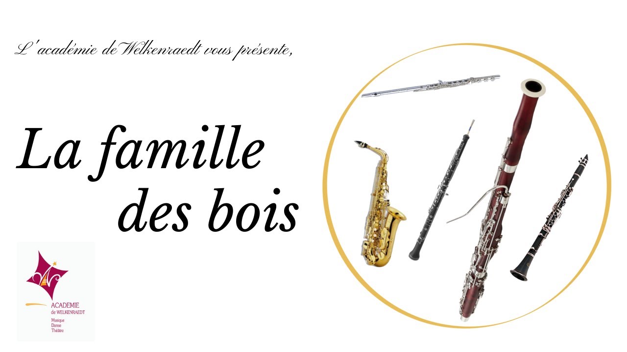 La famille des bois vous donne de ses nouvelles ! YouTube