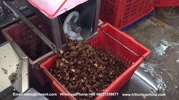 Litch Rambutan Longan Peeler and Pitter Processing Equipment