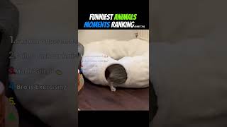 I want a refund for this cyber pet system 🧾⭐ (FAMR 74) #shorts