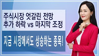 [LIVE01.26] 시장 추가 하락vs마지막 조정ㅣFOMC회의 주목ㅣ종목 분석이 필요 없는 시장...손실을 줄이고 기회를 노릴 때ㅣ무너진 시장에서 상승하는 종목들