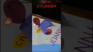 Net of a Cylinder Explained | 3D Pull-Up Model #maths Net of a Cylinder Explained | 3D Pull-Up Model #maths