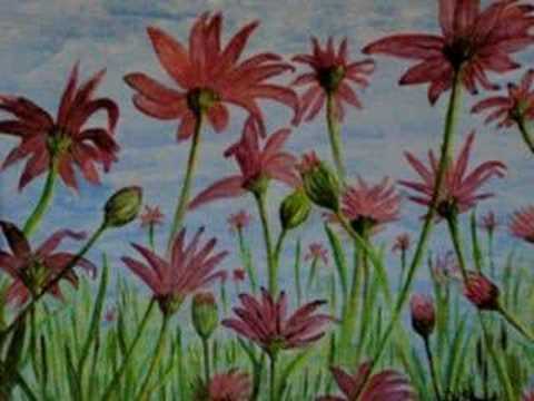 Ahmed & Mohammed Hussain::Main Hawa Hoon::upon req...