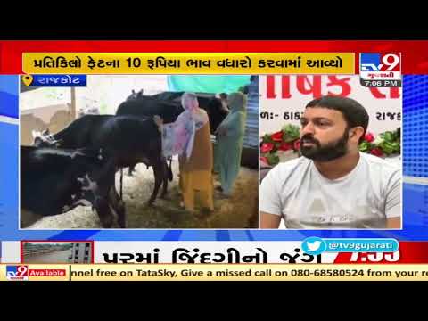 Rajkot dairy increases milk procurement price by Rs. 10 per kg fat| TV9News