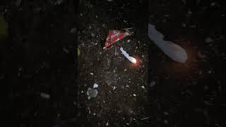 Goodbye De Lima To Nagkamali Ng Tawag Ako Mga Pare Koi