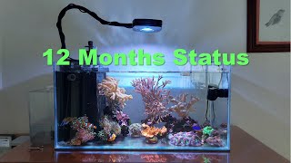 29 - 12 Months Update, Nano-Reef Upgrade