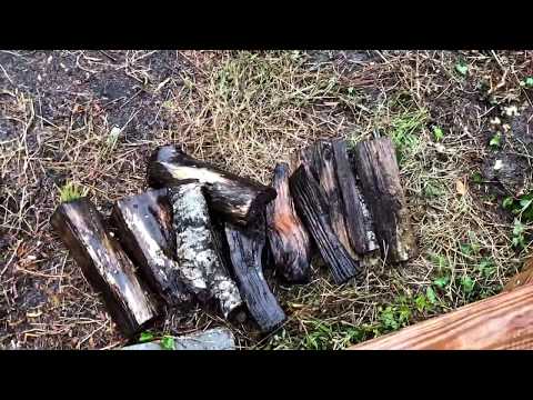 Wet Logs Test | Pull Start Fire