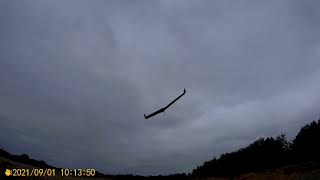 zagi 1m RC Flying wing