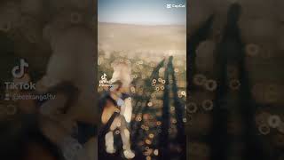 Sivas Kangalı Leş I