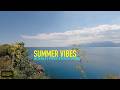 4K Summer Flowers on the Coast | Beautiful Blue Sea View | Silent Premium Nature Stock Footage