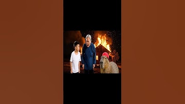 Capy cùng anh rán gà giúp bà và cái kết #capybara #vuive #giaitri #cuocsongcuacapy