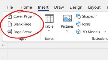 Cover Page, Blank Page and Page Break DIFFERENCES in Microsoft Word?