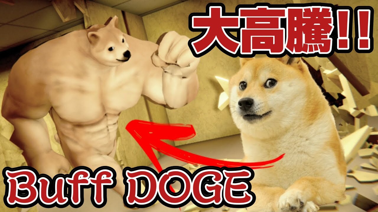 DOGEコインが大高騰！！「Buff Doge」