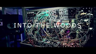 INTO THE WOODS - Generative Ambient Eurorack (Spectraphon // Rainmaker// Arbhar // Plonk // Magneto)