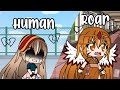 Human & Roar/ GLMV/