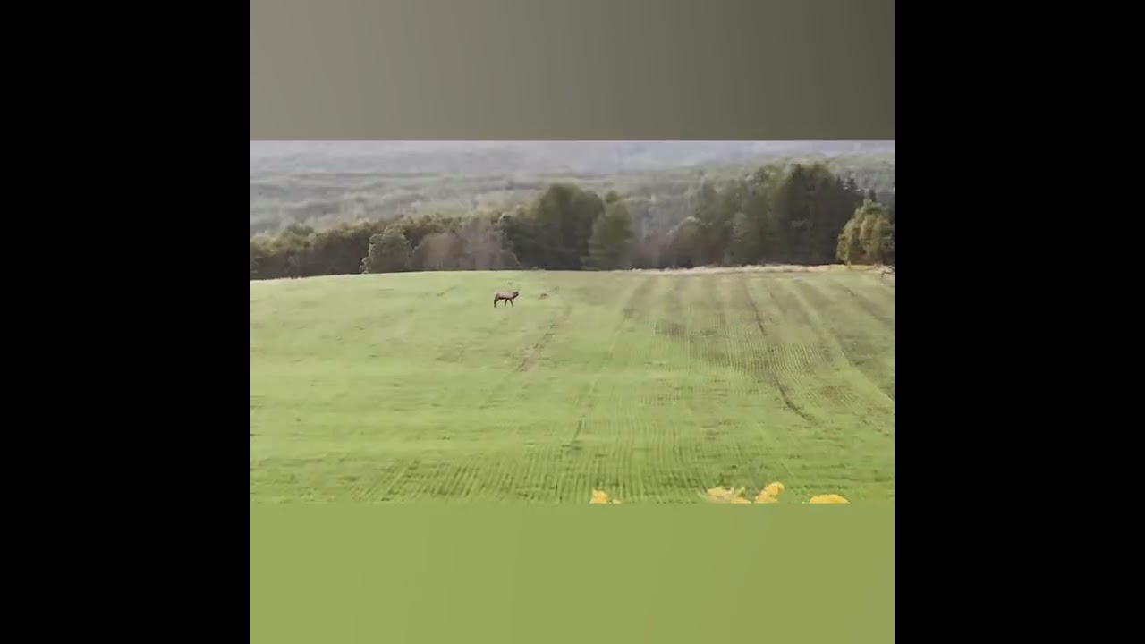 Benezett September 2024