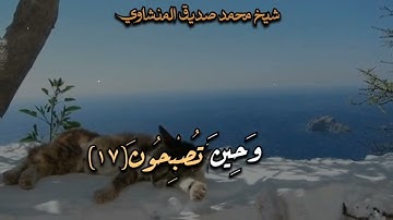 فَسُبْحَانَ اللَّهِ حِينَ تُمْسُونَ وَحِينَ تُصْبِحُونَ  |سورة الروم بصوت الشيخ المنشاوي رحمه الله 🤍