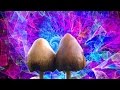 What magic mushrooms do to your brain and body