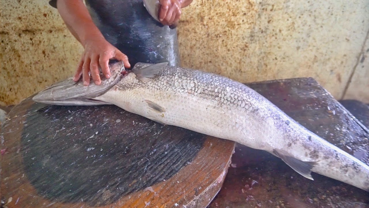 НЕВЕРОЯТНАЯ РЕЗКА РЫБЫ ЛЕВОЙ РУКОЙ || РЕЗКА БОЛЬШОЙ РЫБЫ ЭКСПЕРТНЫМ РЕЗЧИКОМ РЫБЫ