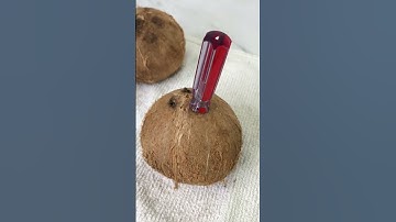 How To Crack Open a Fresh Coconut