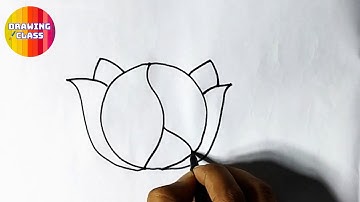 How to draw Cabbage l Cabbage easy drawing step by step l cabbage drawing easy l vegetable drawing l