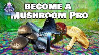 Survive Spores and ALL Mushroom Uses - Aberration - Ark Survival Ascended
