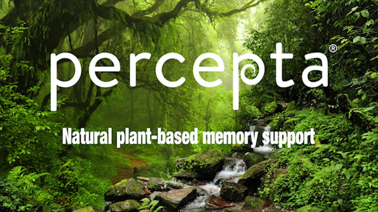 Percepta Intro Video
