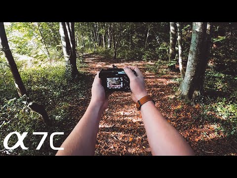POV Photography w/Sony A7C & 50mm 1.8 // WOODLAND