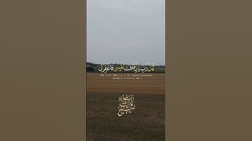 سورة القصص | #quran #راحة_نفسية #عبدالباسط_عبدالصمد #قران_كريم #مصر #سورة_القصص