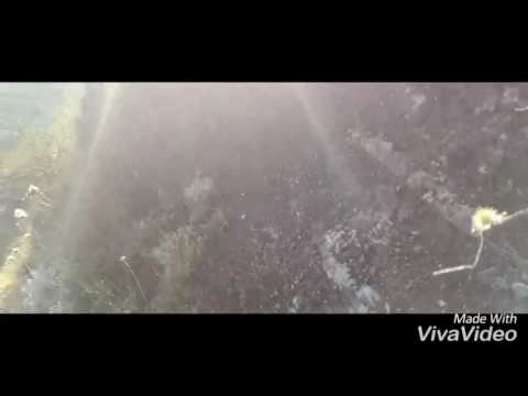 ამოდენა მდინარე