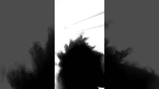 Sem Quer Mostrei O Que Não Devia