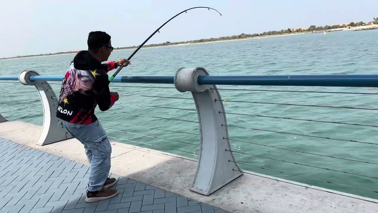 Queen Fish Daiwa Sensor Fishing Rod