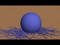 Wharton's Jelly MSC and Tissue Engineering