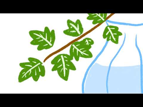 playlist | 일상이 산뜻해지는 플리 🌼 morning jazz