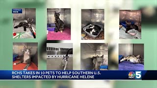 Rutland County Humane Society takes in 10 pets to help southern U S shelters impacted by Hurrica