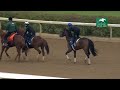 Program Trading (GB) works at Keeneland - October 25, 2025