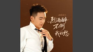 烈酒醉不倒我的愁