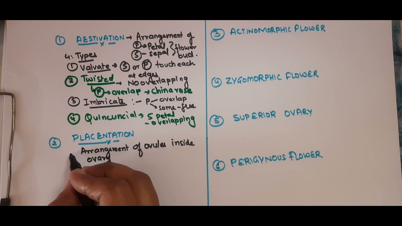 Class 11, Aestivation to Superior Ovary 🌸 | Biology | Key Floral Terms Explained 