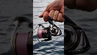 Теперь это правильный Daiwa 20 Luvias LT🔥