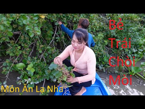 Video 113 Giăng Lưới Bắt Cá - Lần Đầu Hạnh Khó Cá Bằng Trái... - youtube