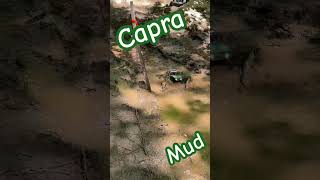 Capra drowns in mud hole #4x4 #mud #rc #offroad #rcoffroad #shorts