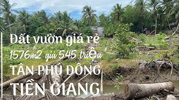 Tập 154 🌸 Đất vườn dừa giá rẻ ,Xã Tân Thới ,Huyện Tân Phú Đông,Tiền Giang @ngocnhatruong2279