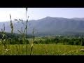 A Cades Cove Childhood