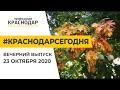 Краснодар Сегодня. Вечерний выпуск новостей от 23 октября 2020 года