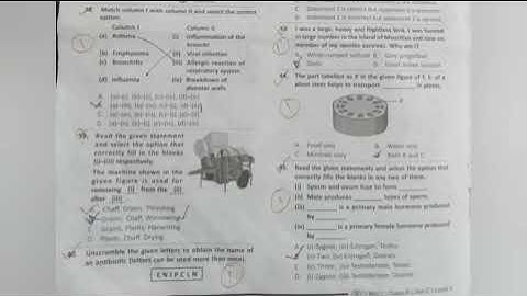 SOF Pt II NSO Class 8 2025-26 SET C l Science Olympiad l#nso2025 #sof #scienceolympiad #answerkey